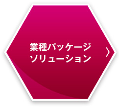 業種パッケージソリューション